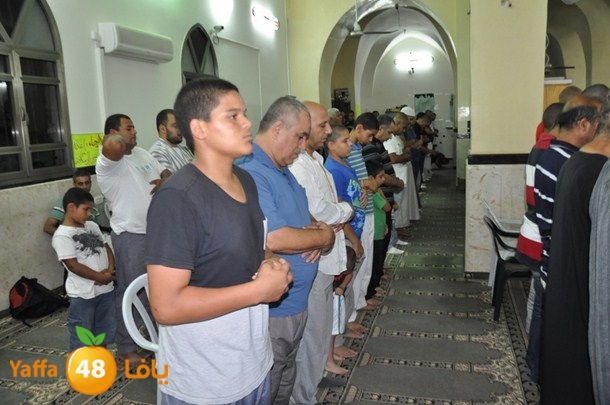 tarawee7 jablaiya (20).JPG